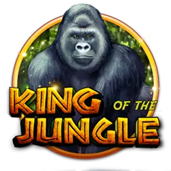 5asec 8800 bet cassino Jogue online